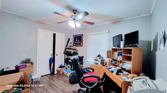 office featuring ceiling fan, ornamental molding, and light hardwood / wood-style floors