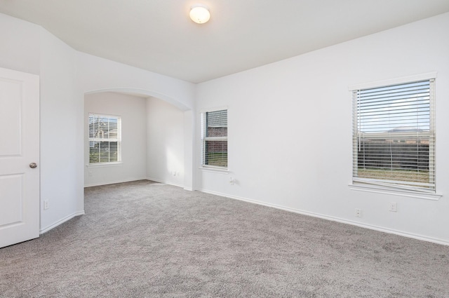 empty room featuring carpet flooring and plenty of natural light