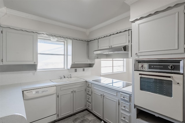 kitchen with black electric stovetop, wall oven, white dishwasher, and a healthy amount of sunlight