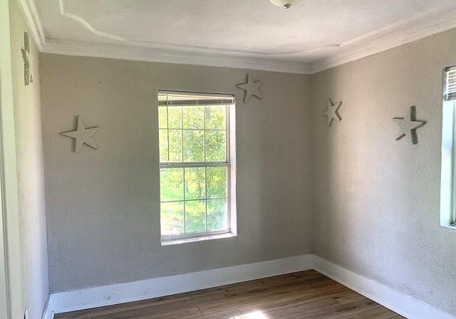 spare room featuring wood-type flooring and ornamental molding