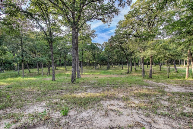4676 County Road 2230, Caddo Mills, TX 75135 - view of undeveloped land