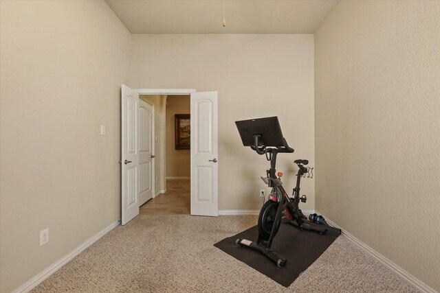 exercise room featuring carpet flooring