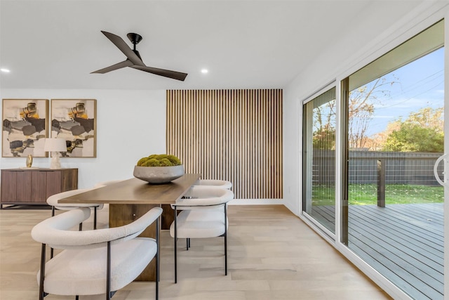 dining space with ceiling fan and light hardwood / wood-style floors