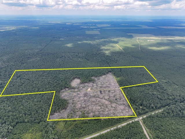 0 Old Honey Island Rd, Kountze TX, 77623 land for sale