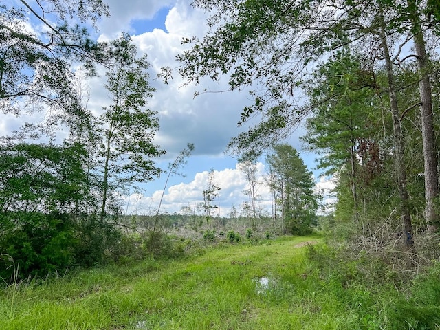 Listing photo 3 for 0 Old Honey Island Rd, Kountze TX 77623