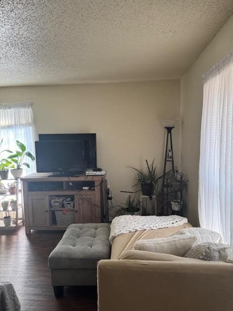 living room with dark hardwood / wood-style floors and a textured ceiling