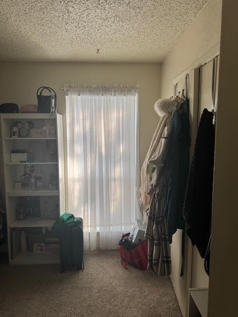 miscellaneous room featuring carpet floors and a textured ceiling