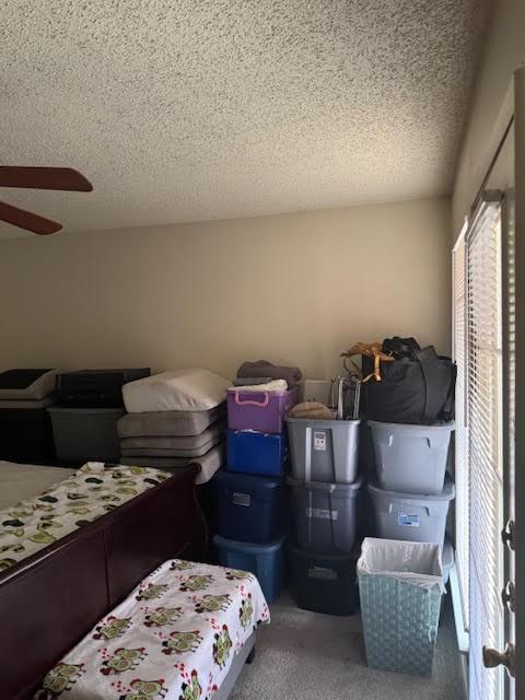 storage with ceiling fan