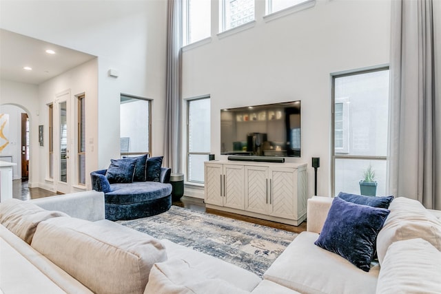 living room with a high ceiling and hardwood / wood-style flooring