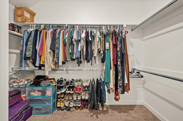 walk in closet featuring carpet