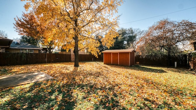 view of yard with a shed