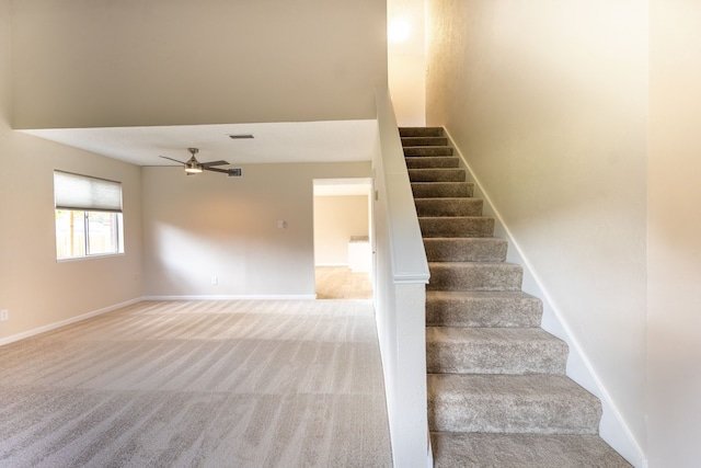 staircase featuring carpet and ceiling fan