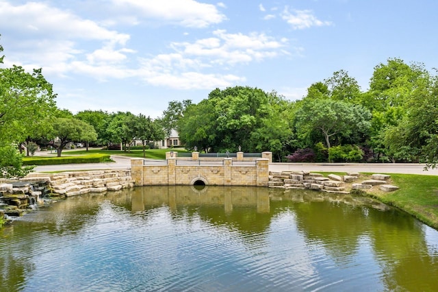 property view of water