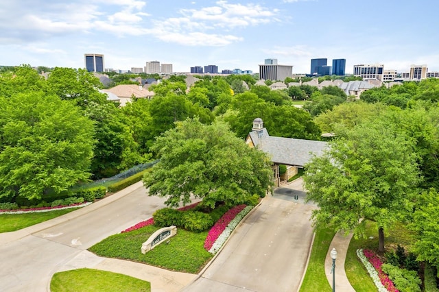 aerial view