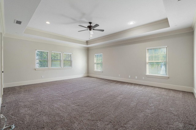 carpeted empty room featuring a tray ceiling and a wealth of natural light