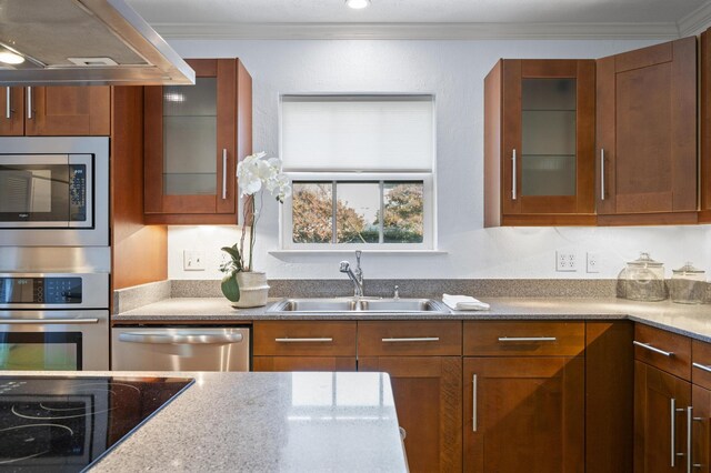 kitchen with appliances with stainless steel finishes, range hood, crown molding, and sink