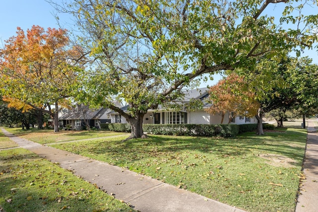 view of property hidden behind natural elements featuring a front lawn