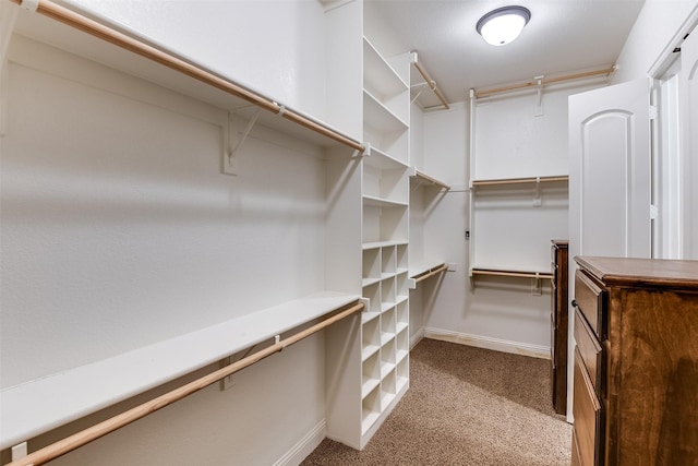 spacious closet featuring light colored carpet