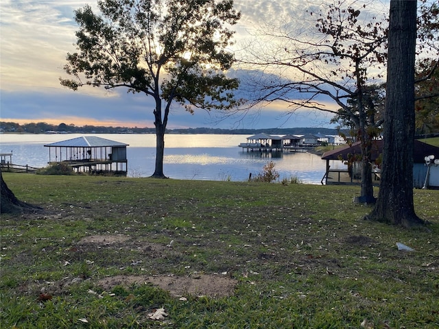 dock area with a water view