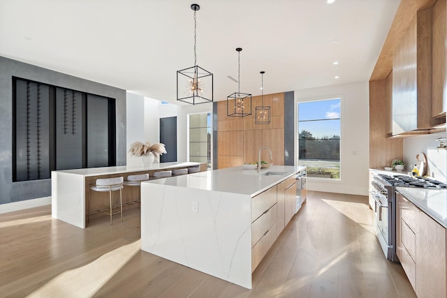 kitchen featuring sink, a large island with sink, pendant lighting, light hardwood / wood-style floors, and appliances with stainless steel finishes