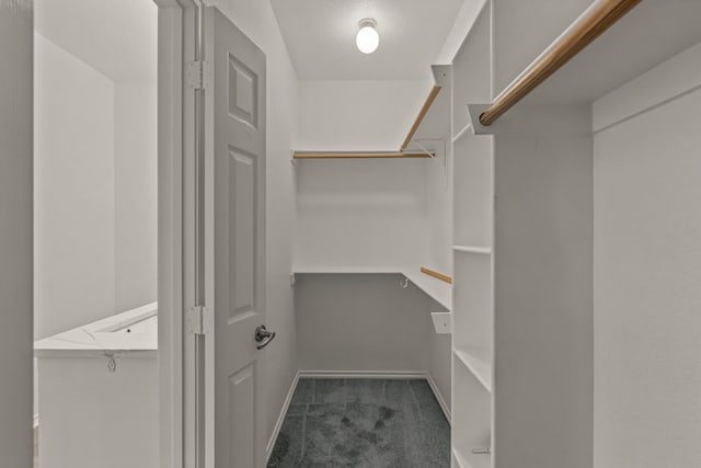 walk in closet with carpet floors