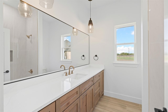 bathroom featuring vanity, wood-type flooring, and toilet