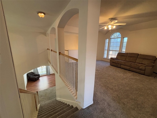 interior space featuring plenty of natural light, carpet floors, and ceiling fan