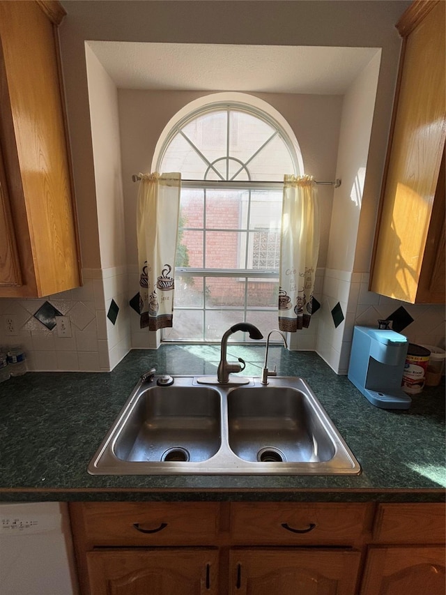 kitchen featuring white dishwasher, sink, and decorative backsplash