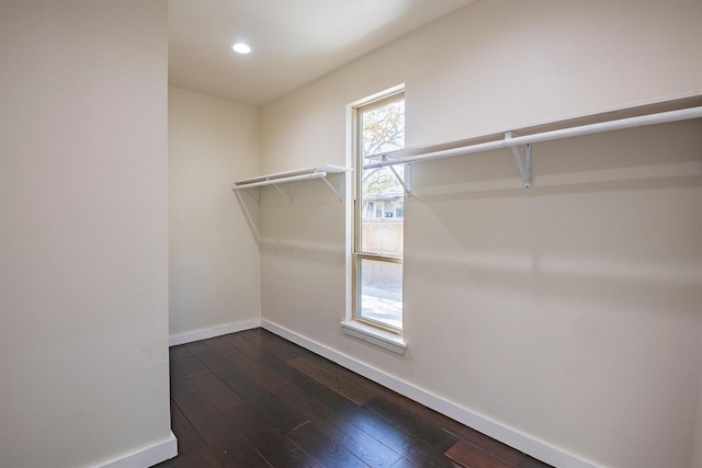 walk in closet with dark hardwood / wood-style flooring