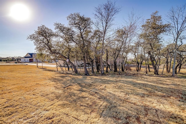 view of yard featuring a rural view