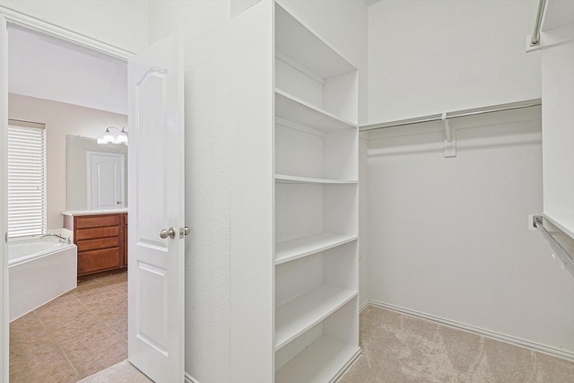 spacious closet featuring light carpet