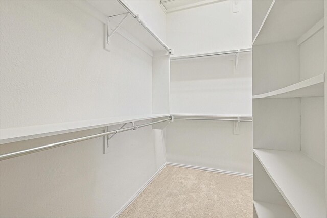 walk in closet with light carpet