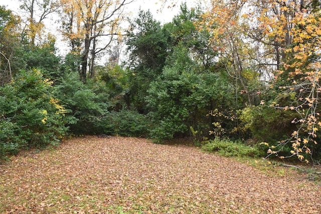 view of landscape