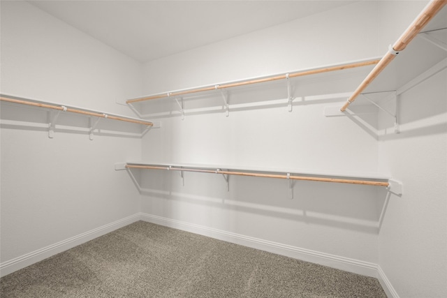 walk in closet with carpet flooring