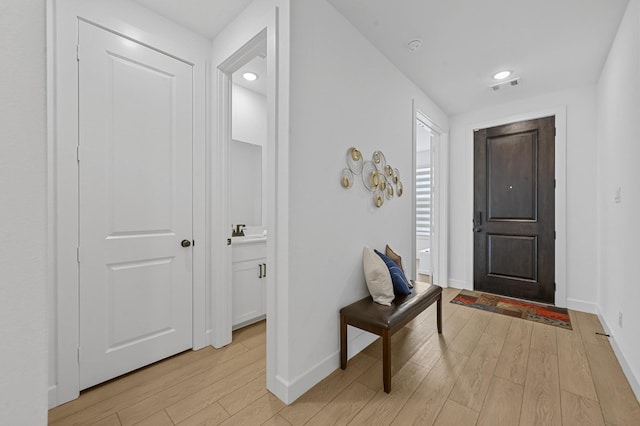 entrance foyer with light hardwood / wood-style flooring