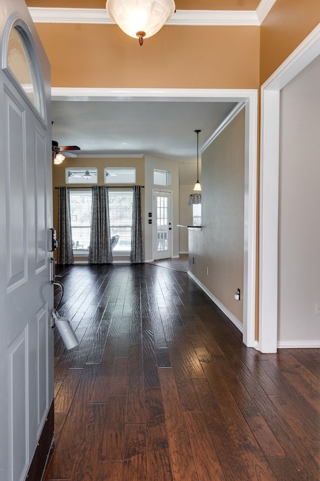 foyer featuring dark wood-type flooring, ornamental molding, and ceiling fan