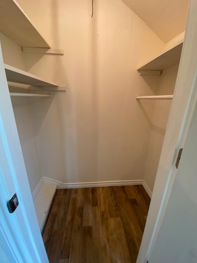 spacious closet with dark wood-type flooring