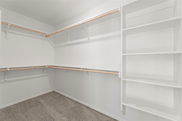 spacious closet featuring carpet flooring