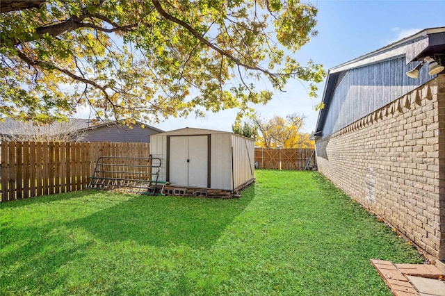 view of yard with a shed