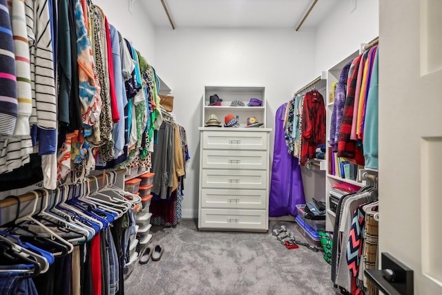 walk in closet with carpet flooring