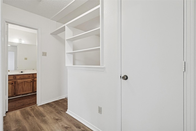 walk in closet with hardwood / wood-style flooring and sink