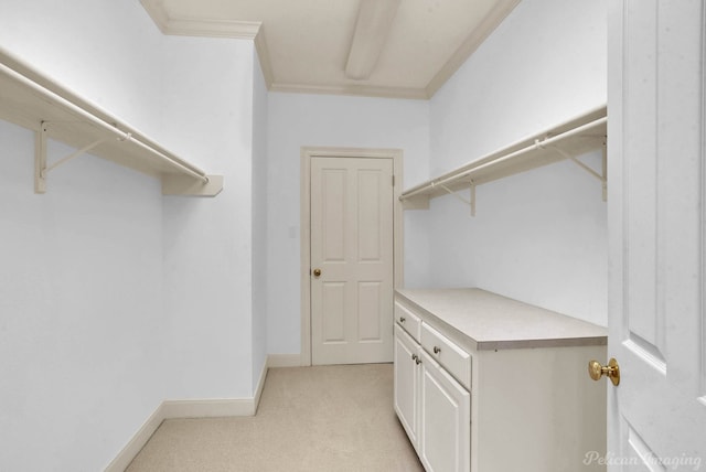 spacious closet featuring light carpet