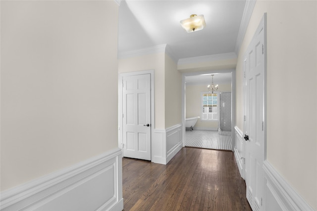 hall featuring a decorative wall, a wainscoted wall, a notable chandelier, dark wood-type flooring, and crown molding