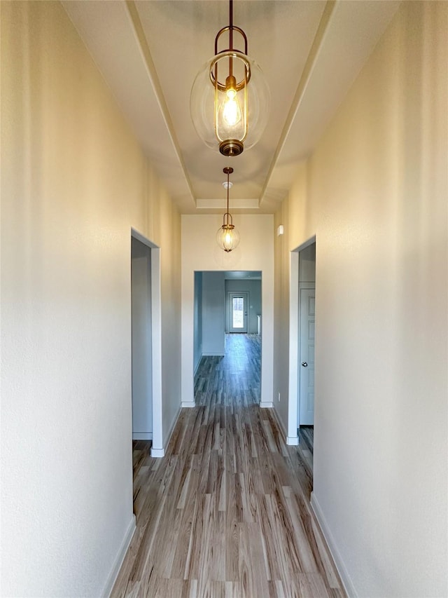 hall with hardwood / wood-style flooring and a tray ceiling