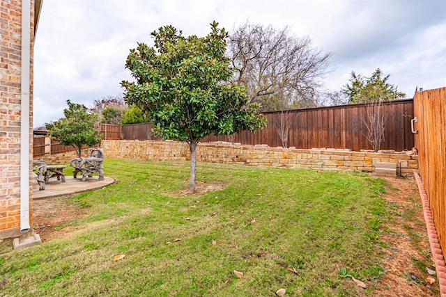 view of yard with a patio area