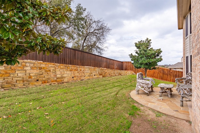 view of yard with a patio area