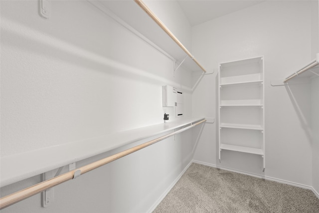 spacious closet with light colored carpet