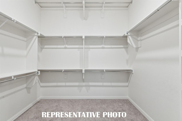 spacious closet featuring light carpet