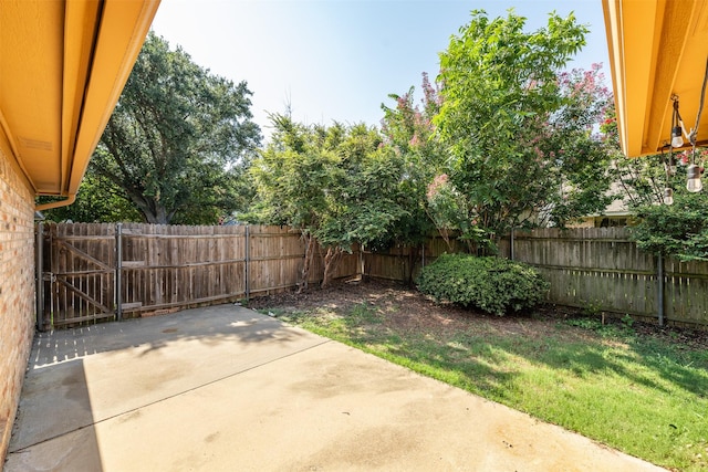 view of yard with a patio area