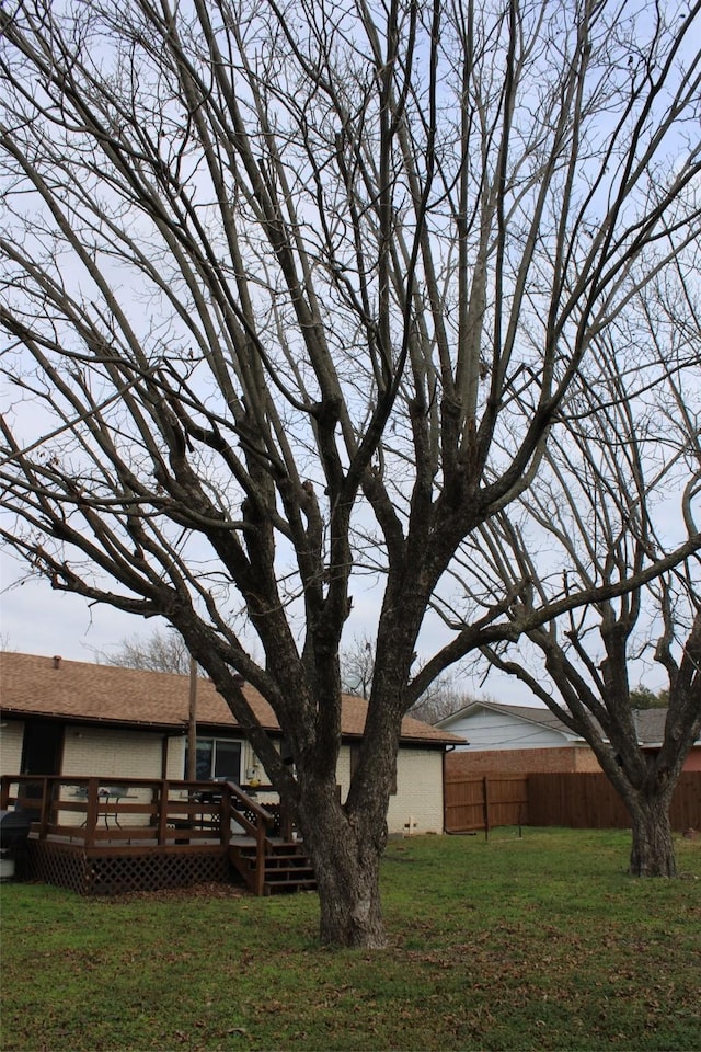 view of yard featuring a wooden deck